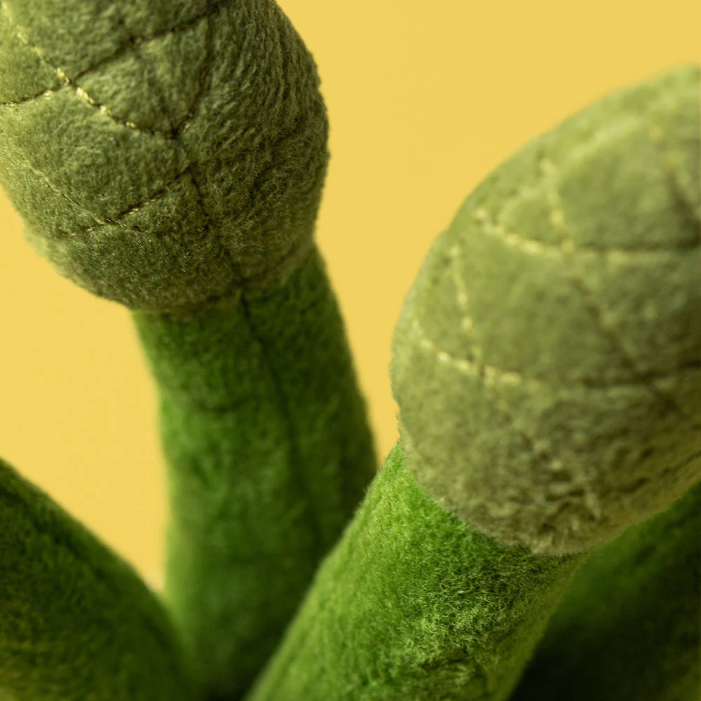 Amuseables Asparagus - Image 4