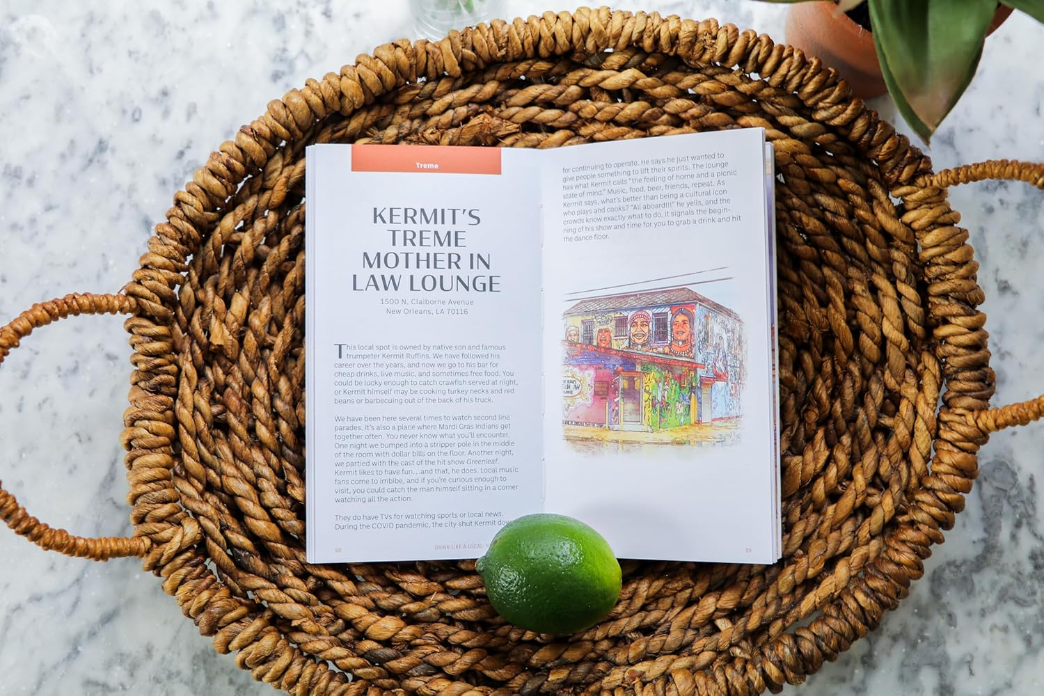 Drink Like A Local: A Field Guide to New Orleans' Best Bars - Image 2