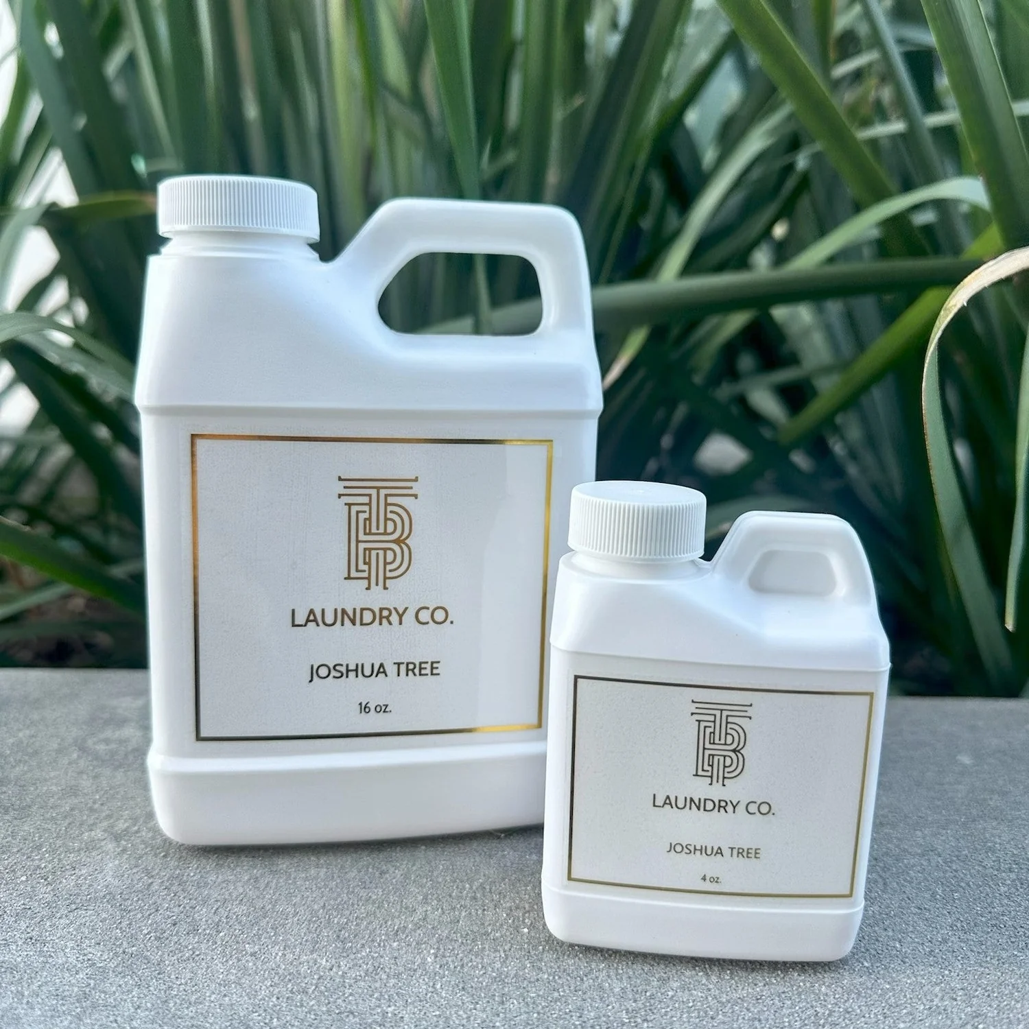 Joshua Tree Laundry Wash-16oz