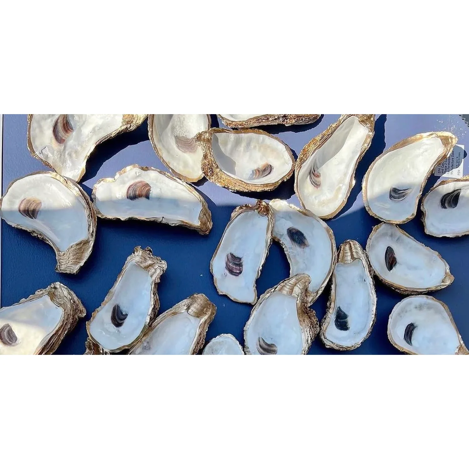 Large Oyster Ring Dish