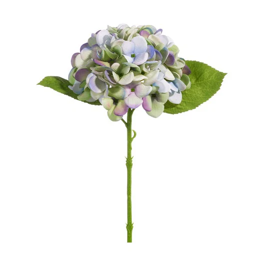 Purple Hydrangea Stem