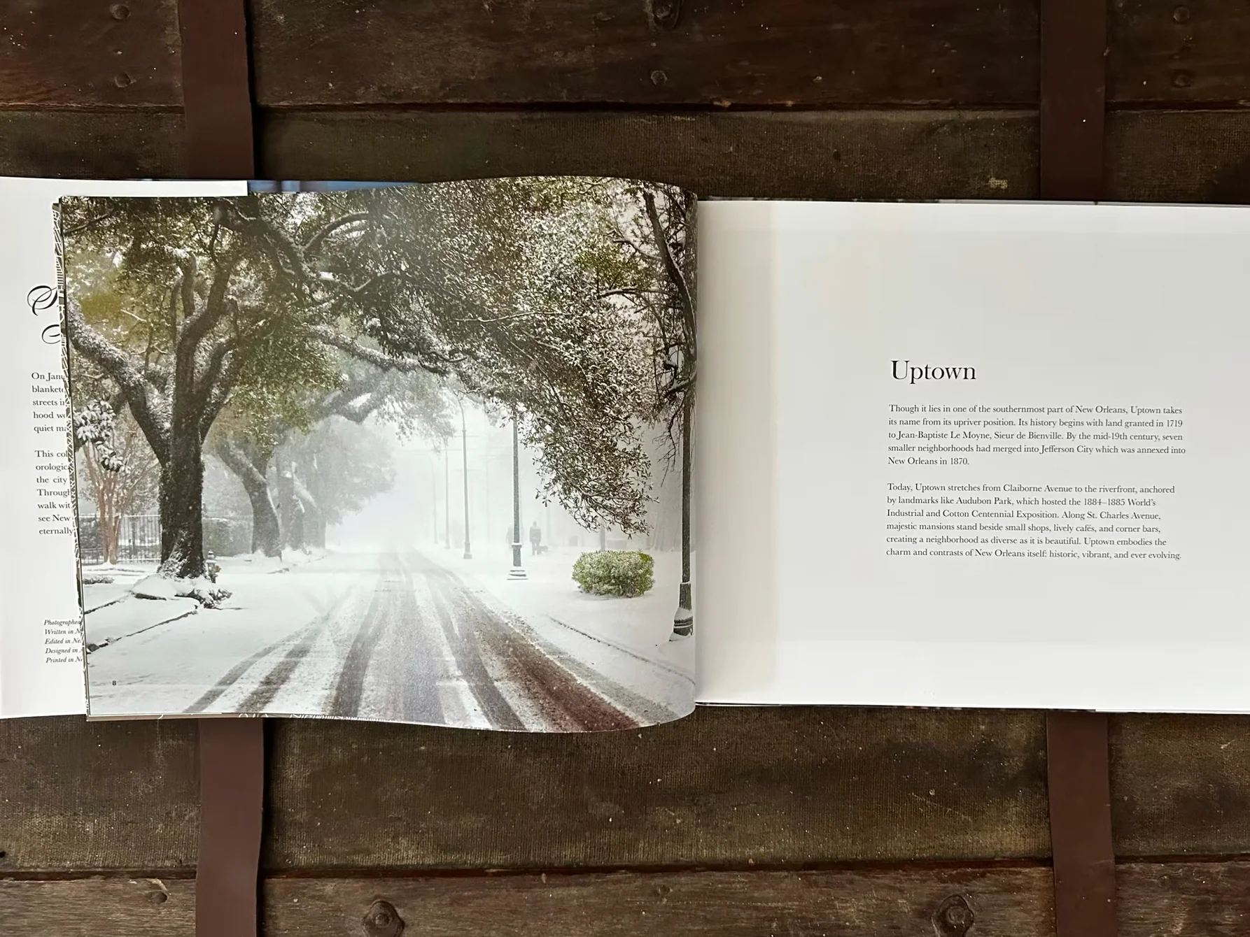 Sneaux Day in New Orleans - Image 3